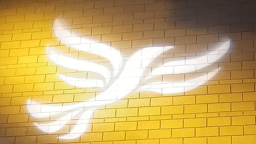 Lib Dem logo bird projected on blockwork